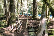 McKenzie River Blue Pool